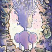 All Around Us - a Fungi ecyclopaedia. Traditional illustration, Digital Illustration, Botanical Illustration, Editorial Illustration, and Children's Illustration project by Agnese Puccinelli - 01.23.2024