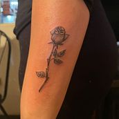 Mi proyecto del curso: Tatuaje botánico con puntillismo . % Alicia Hernandez Ochoa tarafından hazırlanan Geleneksel illüstras, on, Dövme Tasarımı, Botanik İllüstras, Ve on projesi - 01.13.2024