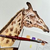 Mon projet du cours : Illustrations réalistes de la vie sauvage à l'aquarelle. Fine Arts, Painting, Watercolor Painting, and Naturalistic Illustration project by sophie_thorens - 01.24.2024