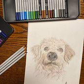 Il mio progetto del corso: Ritratto di animali da compagnia con matite colorate. Un projet de Illustration traditionnelle et Illustration naturaliste de lorenza_polistena - 21.01.2024