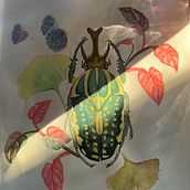 My project for course: Botanical Watercolor Painting of the Natural World. Een project van  Beeldende kunst, Schilderij, Aquarelschilderen,  Botanische illustratie y Naturalistische illustratie van taniaocampo - 25.01.2024