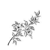 My project for course: Tattoo for Beginners. Un proyecto de Diseño de tatuajes de martyna_kusztal00 - 25.01.2024