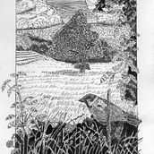 Mon projet du cours : Illustration à l'encre et à la plume : représentez le monde naturel. Sketching, Drawing, Artistic Drawing, Sketchbook, Ink Illustration, and Naturalistic Illustration project by denis13fr - 01.25.2024