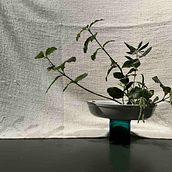 My 1st & Freestyle projects for course: Ikebana: flower arrangement for beginners. Design de interiores, Decoração de interiores, Interiores, e Design floral e vegetal projeto de Jacqui Byrne - 26.01.2024