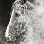 Tierportraits mit Kohlestifte und Bleistifte . Un proyecto de Dibujo realista, Dibujo a lápiz y Dibujo de Retrato de Angelika Schmidt - 22.02.2024