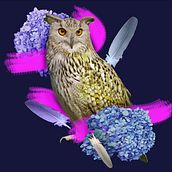 Freedom, Empatiness & Life OWN  . % Kacper Ciesielski tarafından hazırlanan Desen Tasarımı, Moda Tasarımı, Ve Baskı projesi - 01.25.2024