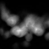 Il mio progetto del corso: Il corpo. Un projet de Photographie artistique de Claudia Fontana - 27.01.2024