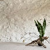 freestyle Ikebana arrangement made using seasonal materials foraged from the garden. Design de interiores, Escultura, Criatividade, Stor, telling, Concept Art, Interiores, Artes plásticas, Artesanato, e Design de espaços projeto de Jacqui Byrne - 27.01.2024