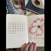 My project for course: Floral Drawings to Illustrate your Bullet Journal. Painting, Lettering, Drawing, Botanical Illustration, H, Lettering, Management, and Productivit project by Sally - 01.27.2024