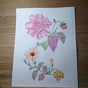Mi proyecto del curso: Acuarela realista para composiciones botánicas. Traditional illustration, Painting, Drawing, Watercolor Painting, and Botanical Illustration project by Santi Jimenez D - 01.27.2024