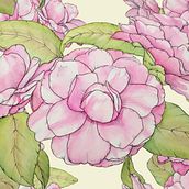 My project for course: Botanical Sketchbooking: A Meditative Approach. Traditional illustration, Sketching, Drawing, Watercolor Painting, Botanical Illustration, and Sketchbook project by Stacy Burch - 01.27.2024