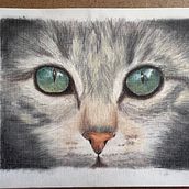 Cat. Traditional illustration project by Nadia Bruwer - 01.28.2024