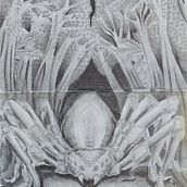 Aragog. Ilustração tradicional projeto de Martina Scolieri - 29.01.2024