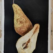 My project for course: Botanical Watercolor: Illustrating Art and Science. Un projet de Illustration traditionnelle, Beaux Arts, Peinture, Dessin, Aquarelle et Illustration botanique de Amelia Krysztofiak-Marcol - 29.01.2024