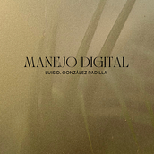 Mi proyecto del curso: Canva de 0 a 100:  LD DIGITAL SERVICES. Br, ing, Identit, Graphic Design, Web Design, and Social Media Design project by Luis Gonzalez Padilla - 03.03.2024