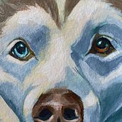 My project for course: Realistic Pet Portraits with Oil Painting. Fine Arts, Painting, Oil Painting, and Naturalistic Illustration project by monica_q - 01.27.2024
