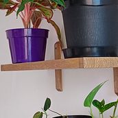 Mi proyecto del curso: Diseño de interiores con plantas desde cero. Interior Design, L, scape Architecture, Decoration, Interior Decoration, DIY, Floral, Plant Design, and Spatial Design project by Mateo - 02.01.2024