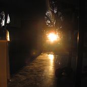 Mi proyecto del curso: Fotografía para principiantes: descubre tu cámara digital . % Mariajose Lisboa Prado tarafından hazırlanan Fotoğrafçılık, Dijital Fotoğrafçılık, Fotoğrafik Kompozis, Ve on projesi - 02.01.2024