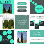 Mi proyecto del curso: Diseño gráfico para principiantes. Design, Br, ing, Identit, Graphic Design, T, pograph, Logo Design, T, pograph, and Design project by Yalcimar Rivero - 02.01.2024