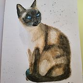 Exercises. Watercolor Painting, Traditional illustration, Realistic Drawing, and Naturalistic Illustration project by Franciska Van Hauwaert - 02.01.2024