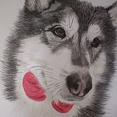 Mi proyecto del curso: Retratos de Mascotas en Lápices de Colores. Traditional illustration, and Naturalistic Illustration project by MARIA DEL CARMEN RAMÍREZ SUÁREZ - 02.01.2024