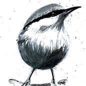 My project for course: Illustrating the Natural World with Watercolor and Charcoal. Projekt z dziedziny Trad, c, jna ilustracja,  Malarstwo, Ilustracja naturalist i czna użytkownika joanna_bickerton - 01.02.2024