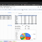 My project for course: Excel for Creative Projects and Small Business. Management, Productivit, and Business project by sariosg03 - 02.02.2024
