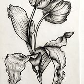 @morgana.tobacia_tatoo: Diseño de tatuajes Blackwork. Un projet de Illustration traditionnelle, Illustration numérique , et Conception de tatouage de Hüsfreyja Sigurdöttir - 31.01.2024
