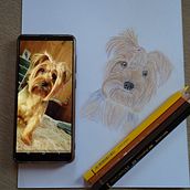 Mi proyecto del curso: Retratos de Mascotas en Lápices de Colores. Un proyecto de Ilustración tradicional e Ilustración naturalista				 de Angeles Miranda - 31.01.2024