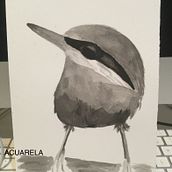 Mi proyecto del curso: Acuarela artística para ilustración de aves. Traditional illustration, Watercolor Painting, Realistic Drawing, and Naturalistic Illustration project by José María Vara de Rey - 02.04.2024