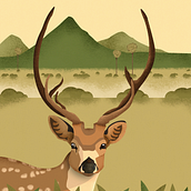 Mon projet du cours : Illustration de la vie sauvage pour les livres jeunesse. Un progetto di Illustrazione vettoriale, Illustrazione digitale e Illustrazione infantile di Marie - 04.02.2024