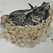 Swallows in the nest. Un proyecto de Pintura de Dorottya Molnár - 03.02.2024