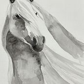 My projects for course: Expressive Animal Portraits in Watercolor. Traditional illustration, Watercolor Painting, Realistic Drawing, and Naturalistic Illustration project by Phyllis Hewlett - 02.05.2024