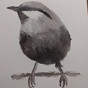 Mi proyecto del curso: Acuarela artística para ilustración de aves. Traditional illustration, Watercolor Painting, Realistic Drawing, and Naturalistic Illustration project by Laura Córdoba Salgado - 02.05.2024