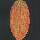 My project for course: Botanical Watercolor: Illustrating Art and Science. Traditional illustration, Fine Arts, Painting, Drawing, Watercolor Painting, and Botanical Illustration project by Juan Larrauri Scott - 02.04.2024