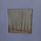 Mon projet du cours : Création d'aquarelles liquides à base de pigments végétaux. Projekt z dziedziny Craft,  Sztuki piękne,  Malarstwo, Malowanie akwarelą, DIY i Teoria barw użytkownika CORIANDRE - 06.02.2024
