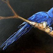 Mój projekt z kursu: Klasyczne malarstwo olejne: naturalistyczne portrety ptaków. Un proyecto de Bellas Artes, Pintura, Pintura al óleo e Ilustración naturalista				 de malgorzata_wilamowska - 15.02.2023