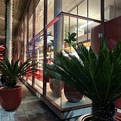 Mi proyecto del curso: Fotografía profesional para Instagram. Un projet de Publicité, Photographie, Marketing, Réseaux sociaux, Photographie smartphone, Photographie de produits, Marketing mobile, Instagram, Photographie pour Instagram, Photographie lifest , et le de Yamila Lecuona - 06.02.2024