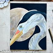 Great Blue Heron. Een project van Aquarelschilderen van Lauren da Silva - 03.02.2024