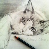 Dibujo artístico - Dibujos realistas o retratos a lápiz de Faraón Ramses (Yul Brynner) de la película los 10 Mandamientos Y Juan de Pareja de Diego Velázquez y otros dibujos realistas de mascotas y dibujos decorativos. Un proyecto de Bellas Artes, Dibujo de Retrato, Dibujo artístico, Dibujo a lápiz, Dibujo, Dibujo realista, Sketchbook, Ilustración tradicional, Decoración de interiores y Pintura decorativa de Moisés Hernández - 07.02.2024