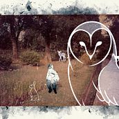 Memories of Dinosaurs. Collage, and Non-Fiction Writing project by Brishbhanu Baruah - 02.08.2024