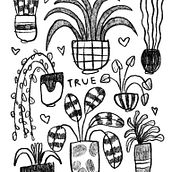 Corso Catalina Bu (PLUS). Digital Illustration project by Sara Fredducci - 02.08.2024