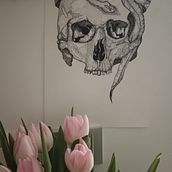 Skull . Arte plastice de charlottep - 02.08.2024