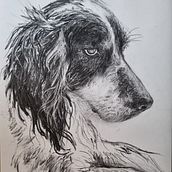 Final project ('Animal Illustration with Charcoal and Ink'). Fine Arts, Drawing, Naturalistic Illustration & Ink Illustration project by Helen Gräwert - 02.09.2024