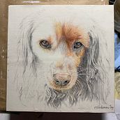 My project for course: Pet Portraits in Colored Pencils. Un proyecto de Ilustración naturalista				 de toppclan - 09.02.2024