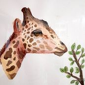 My project for course: Watercolor Illustration: Painting Realistic Wildlife. Un progetto di Belle arti, Pittura, Pittura ad acquerello e Illustrazione naturalistica di Nina Šarišská - 01.02.2024