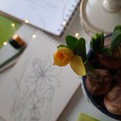 My project for course: Instagram Videos: Capture Your Creative Process. Mobile Photograph, Instagram, Instagram Photograph, Lifest, and le Photograph project by Zanda Milzarāja - 02.10.2024