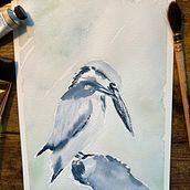 My project for course: Naturalist Watercolor with Expression and Personality. Ilustração tradicional, Pintura em aquarela e Ilustração naturalista projeto de Melanie Strand - 11.02.2024