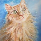 Mi proyecto del curso: Ilustración realista en acuarela de la vida salvaje. Een project van  Beeldende kunst, Schilderij, Aquarelschilderen y Naturalistische illustratie van ja_martineztapia - 11.02.2024