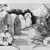 My project for course: Dip Pen and Ink Illustration: Capturing The Natural World. Sketching, Drawing, Artistic Drawing, Sketchbook, Ink Illustration, and Naturalistic Illustration project by snakepit22 - 02.11.2024